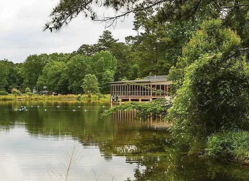 Affinitee at Pine Lake — Photo 4