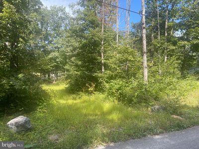 LOT 4 Doe Trl, Winchester, VA, 22602