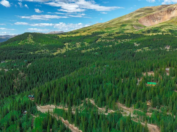 1062 Roberts Road, Alma, CO 80420