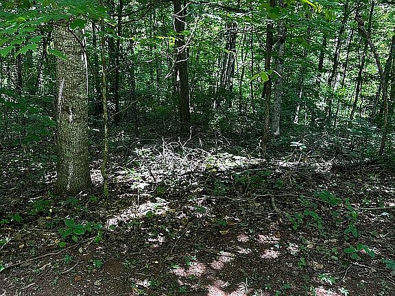 3rd image of 19 Farmers Mountain Ln