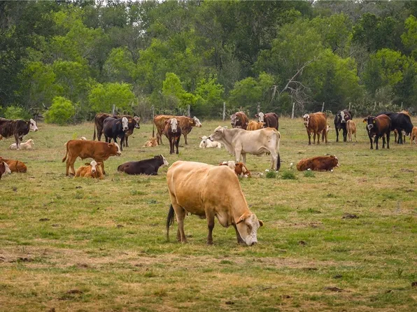 0 Fm 77, Nixon, TX 78140