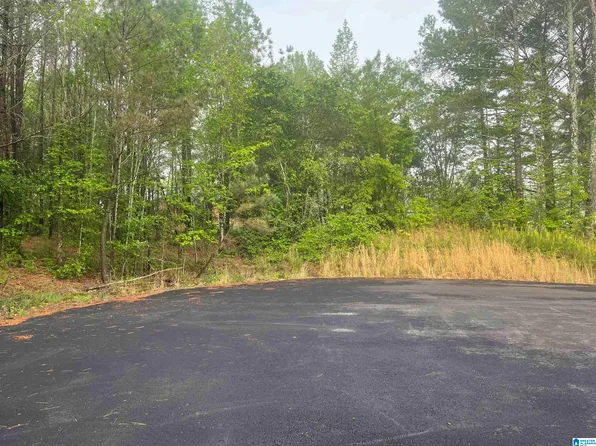 Courtney Dr #15, Eva, AL 35621