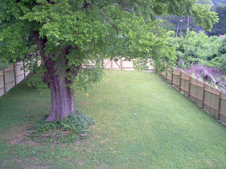 Newly fenced yard