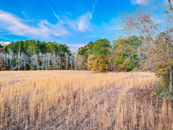 Rogers Farm Rd Lot Wp001, Clio, SC 29525