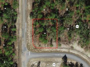 3299 W HIGGINS PLACE, CITRUS SPRINGS, FL 34433