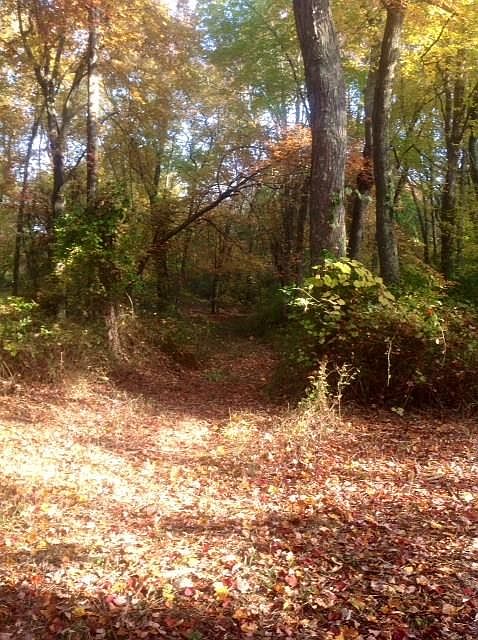 2nd image of 65 Dry Creek Way