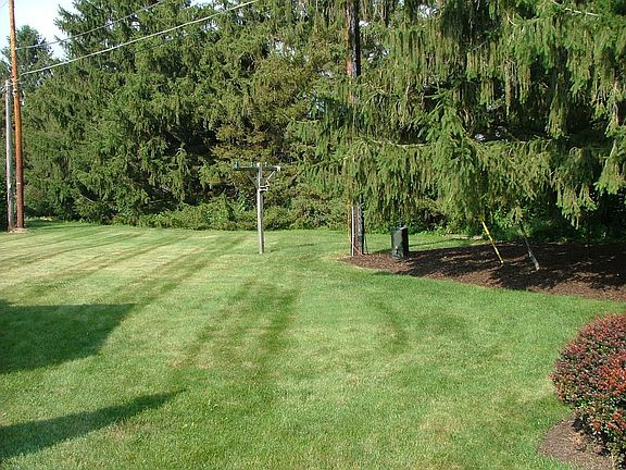 Your New Back Yard