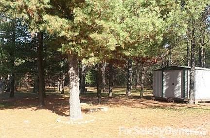 Metal Shed in backyard