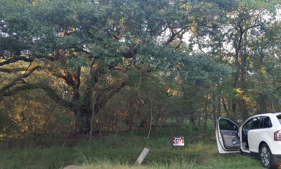 2nd image of 0 Pecan Dr