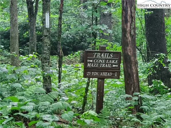 245 Evergreen Drive #1, Blowing Rock, NC 28605