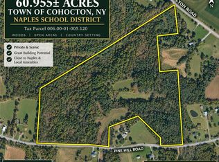 0 Lyon Rd, Naples, NY 14512