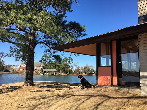 Looking out toward the point (dog not included)