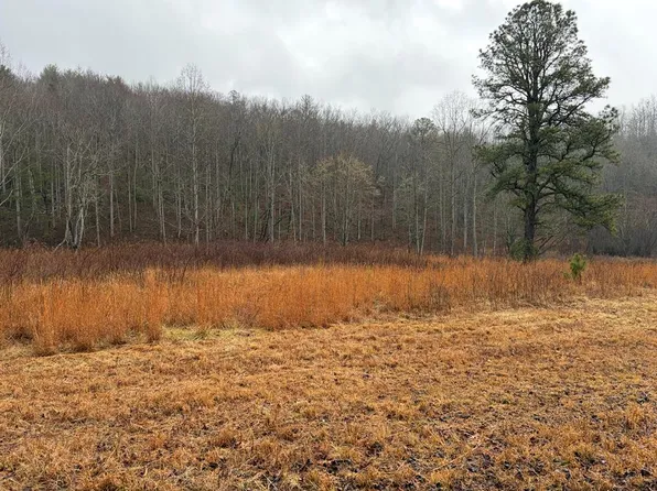 42 Whisperwood Rd, Hiawassee, GA 30546