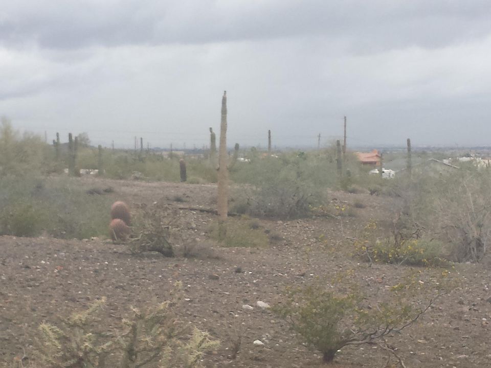2nd image of 2500 W Sunrise Drive #0