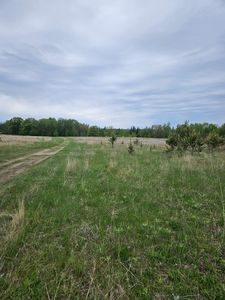 Tbd Pillager Creek Trl SW, Pillager, MN, 56473