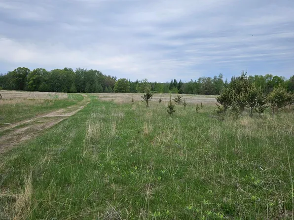 Tbd Pillager Creek Trl SW, Pillager, MN 56473