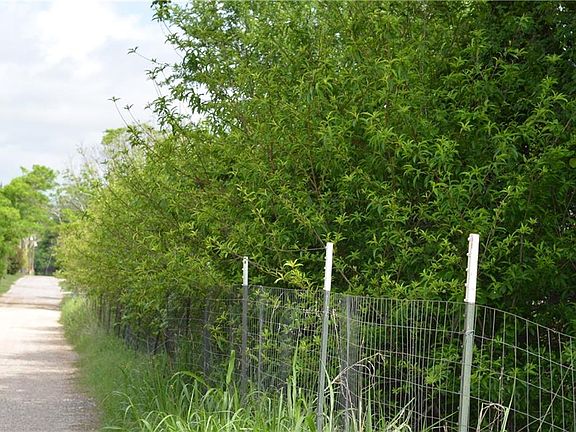 2nd image of 105 Private Road 221 #A