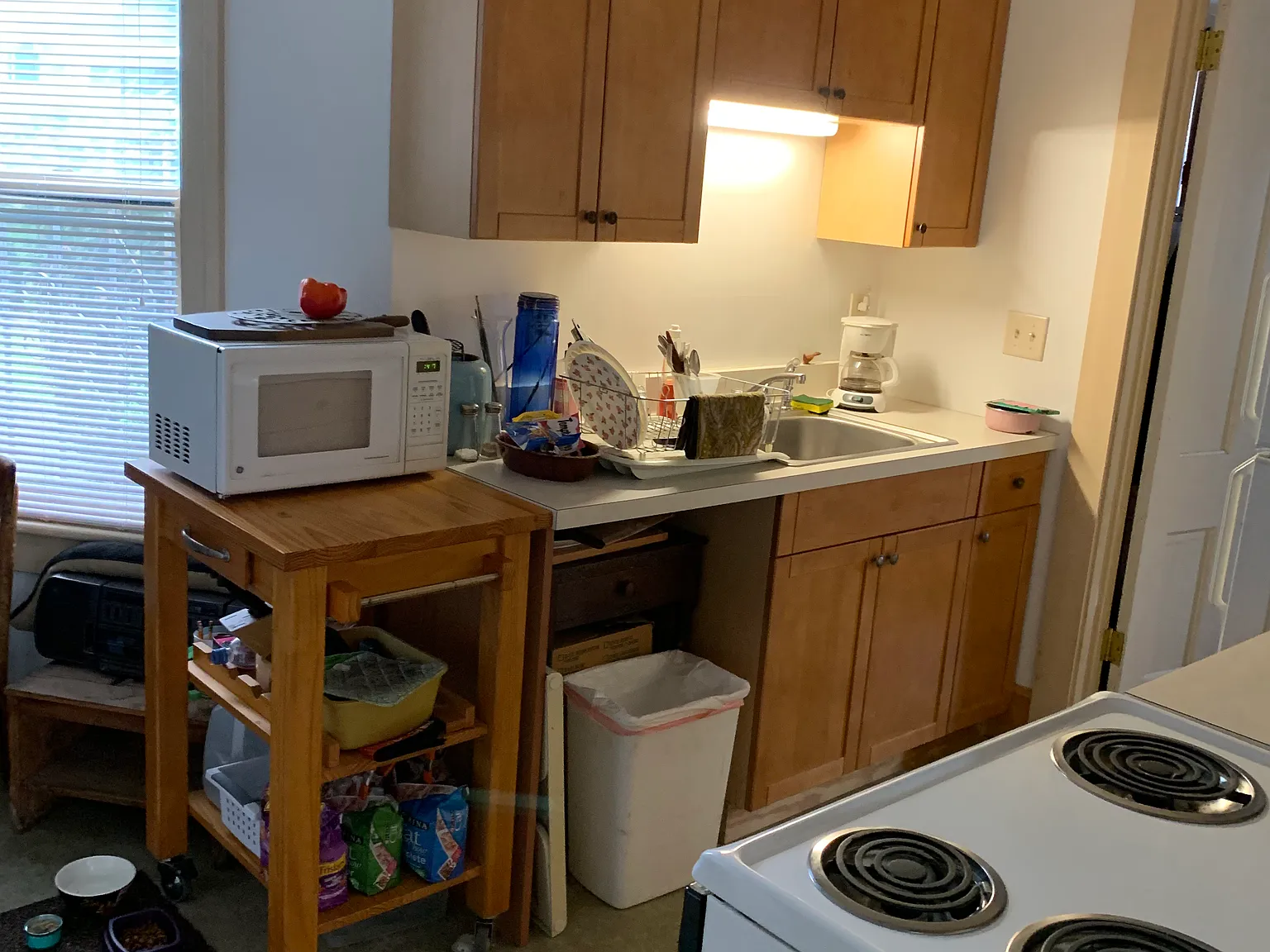 1 bed, 600 sqft, $1,100 — Photo 2