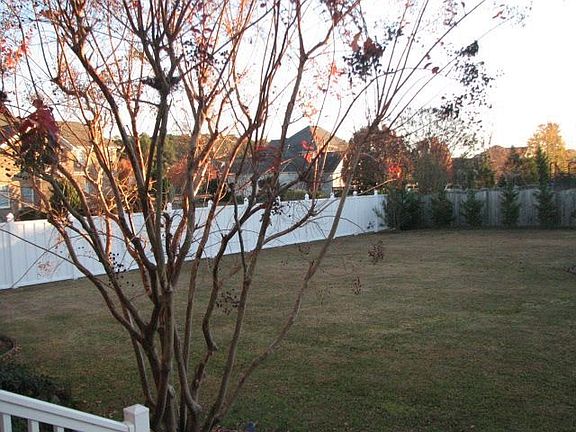 Part of the Backyard