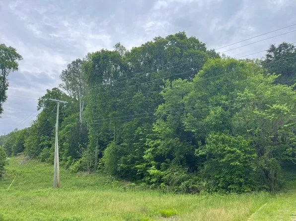 0 Highway 68, Niota, TN 37826