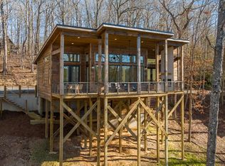 60 Tanglewood Ln, Blue Ridge, GA 30513