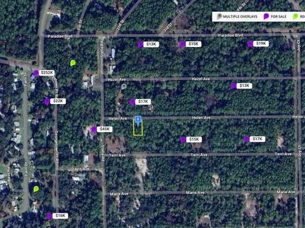 107 HELEN AVENUE, GEORGETOWN, FL 32139