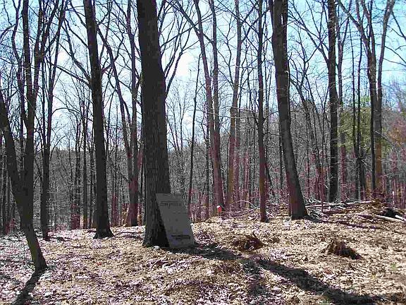 4th image of LOT 2 Degraff St