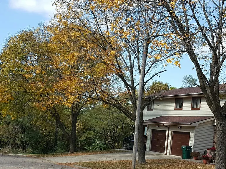 906 Sundown Dr — Photo 13