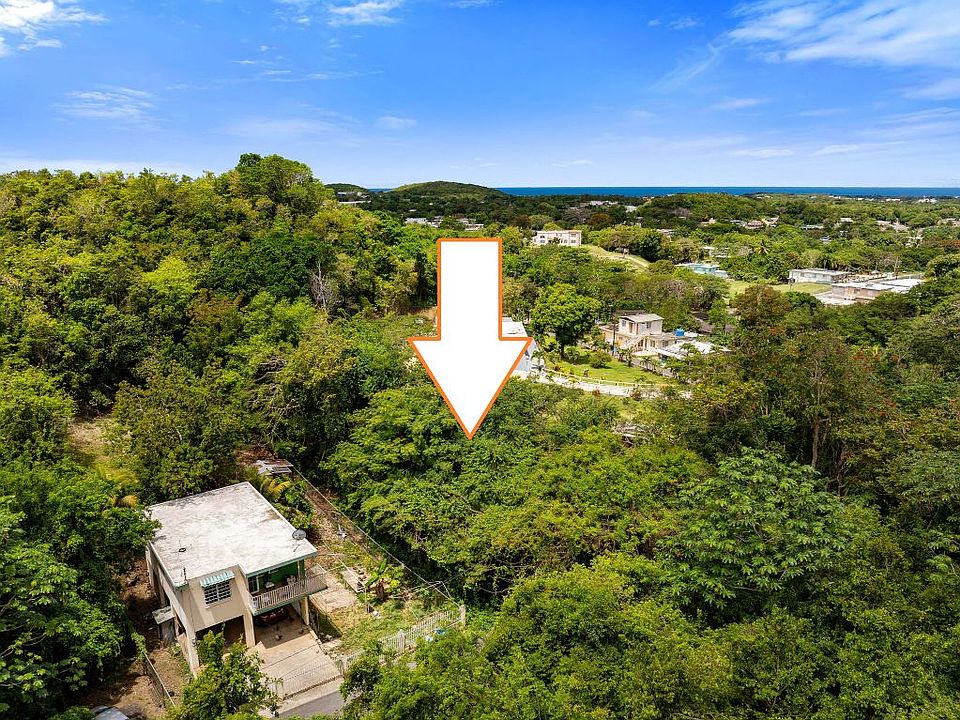 1st image of Commons Caban 391 Bo Corrales