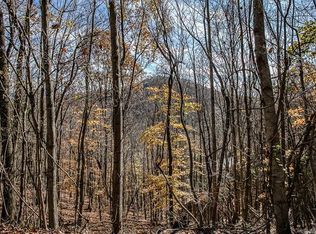 176 Brown Rd #11, Asheville, NC 28806