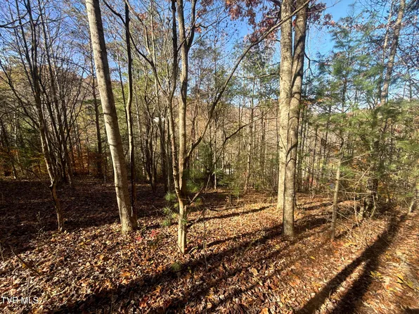 11/AC Highway 19 E, Hampton, TN 37658