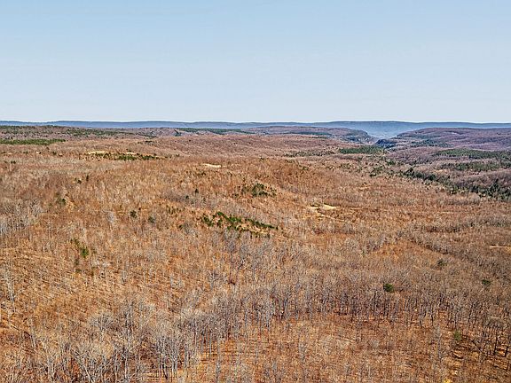 5th image of 253 Daus Mountain Rd