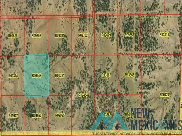 LOT 46 La Tinaja Trl, Pinehill, NM 87357