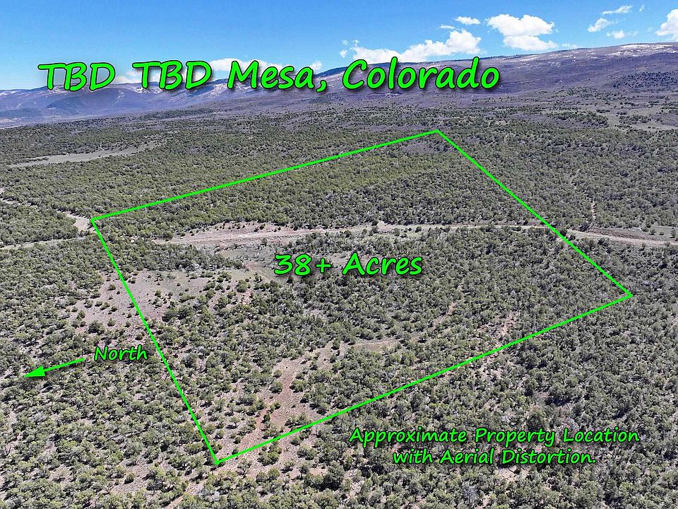 1st image of Tbd Tbd
