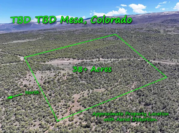 Tbd Tbd, Mesa, CO 81643