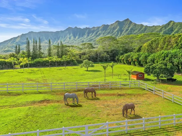 6001 Kahiliholo Rd #E, Kilauea, HI 96754