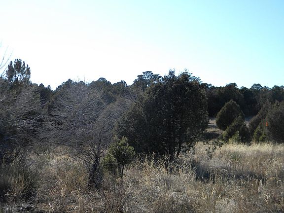 3rd image of 25 Sweet Retreat Ln
