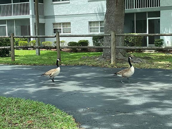 3rd image of 450 Fairways Cir APT A104