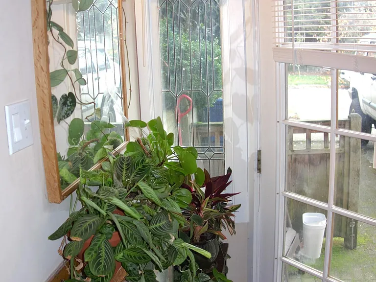 Sunny front entry
Plant happy area (taken from previous tenant, floors have been replaced)