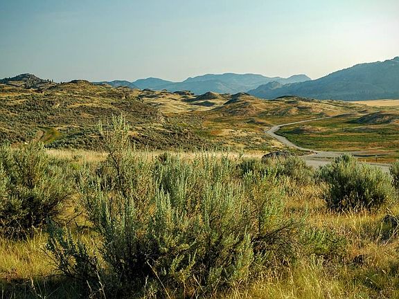 2nd image of 35 Silver Spur Resort