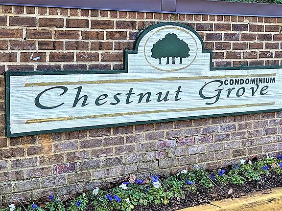 3rd image of 11232 Chestnut Grove Sq APT 19