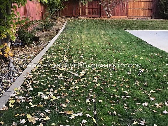 5th image of 1013 Brock Cir