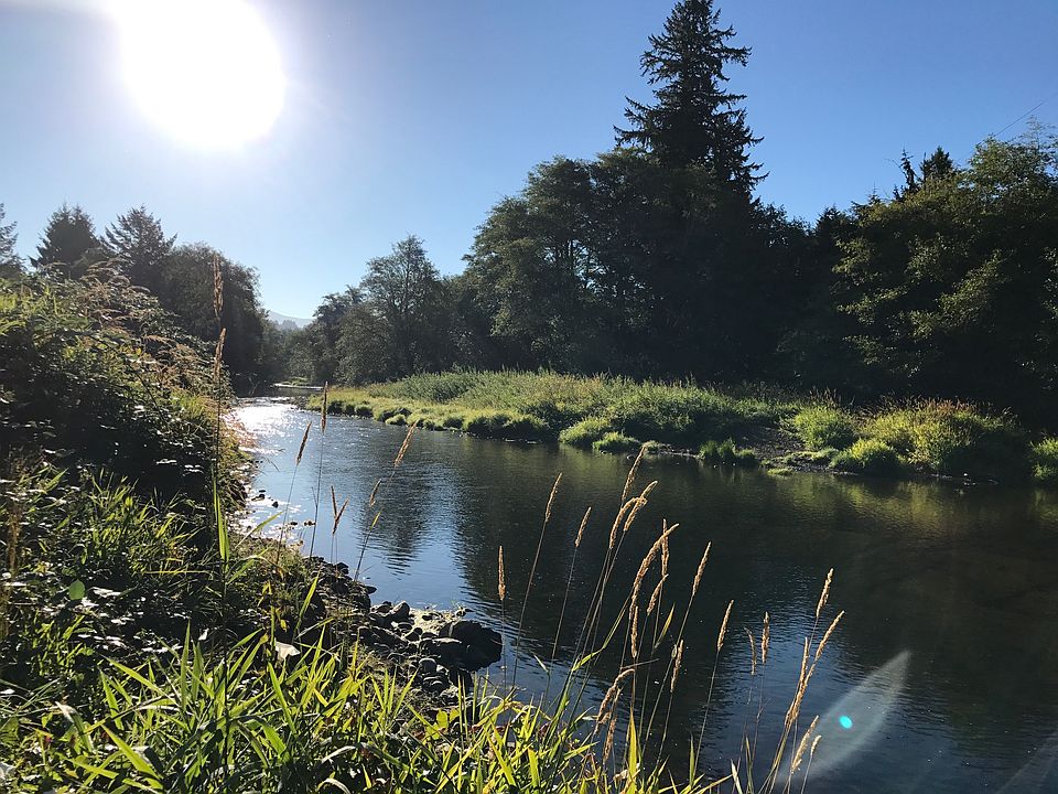 Salmon River Looking east from backyard.
