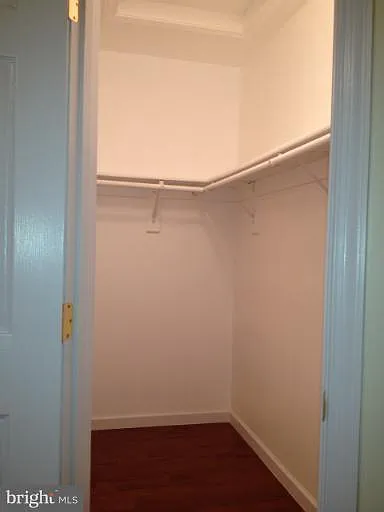 13523 Bannacker Pl — Photo 14