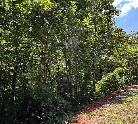 3rd image of LOT 5 King Mountain Dr