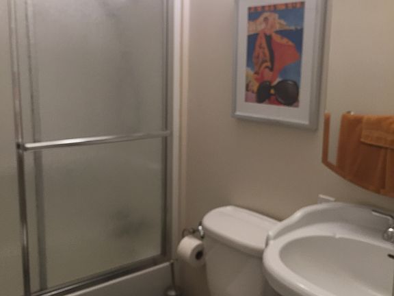 Guest bath