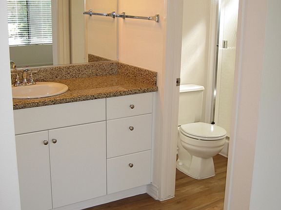 Master Vanity and Bath