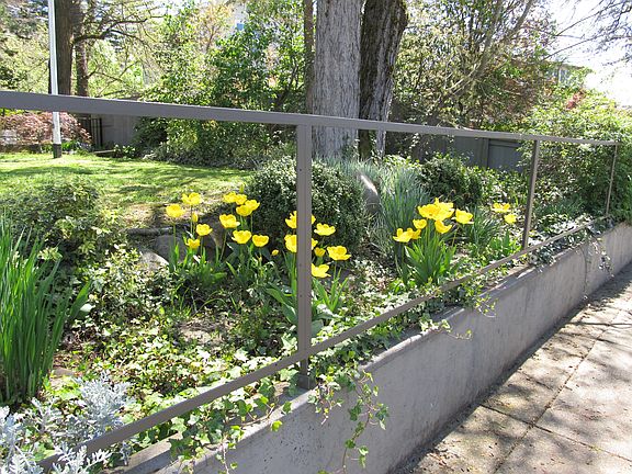 FRONT YARD GARDEN