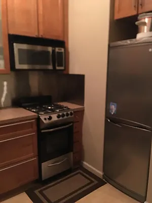 Rented by Manhattan Flats | media 12