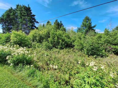 Lot #54-D Lavertu Road, Madawaska, ME, 04756